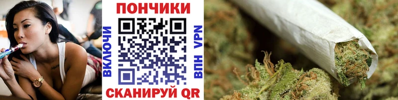 где купить   kraken ТОР  МАРИХУАНА семена  Темников 